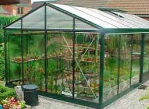 Greenhouse business from A to Z for beginners and professionals Greenhouse farming at home